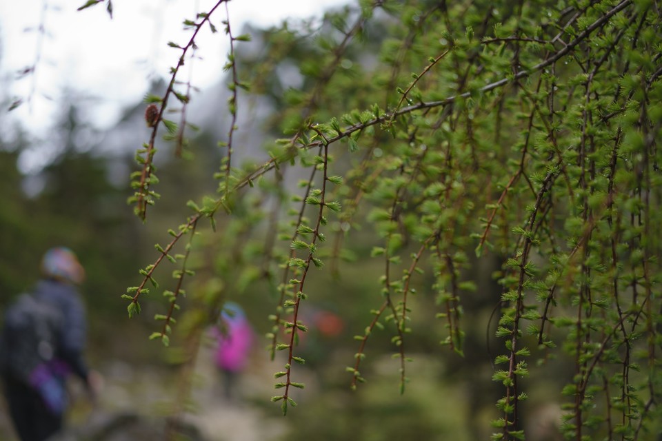 DSC00212 as Smart Object-1