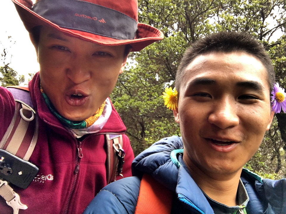 1b1e511bc13290727ce1af5cb5fea107_org