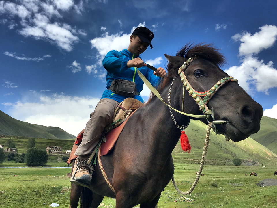 2dc496ddd9c1d586ed62e3e146d64b61_org