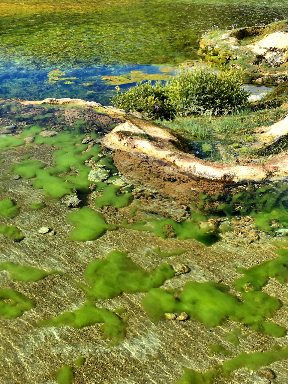 79a2844f595666c88e8cff1ffe652a5c_org