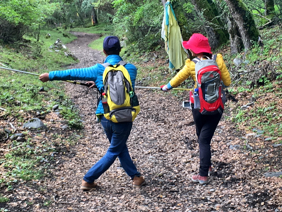 6391b839d6dd38a2d8277184b79820c6_org