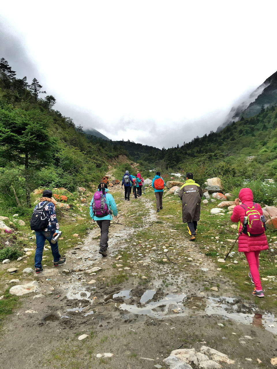 c895527660cfa3cac6ba1f53116ccc4a_org