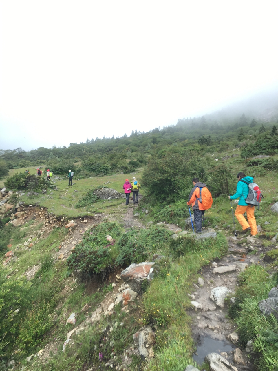 ca3b3a9d7f9b305b8a4900c440786093_org