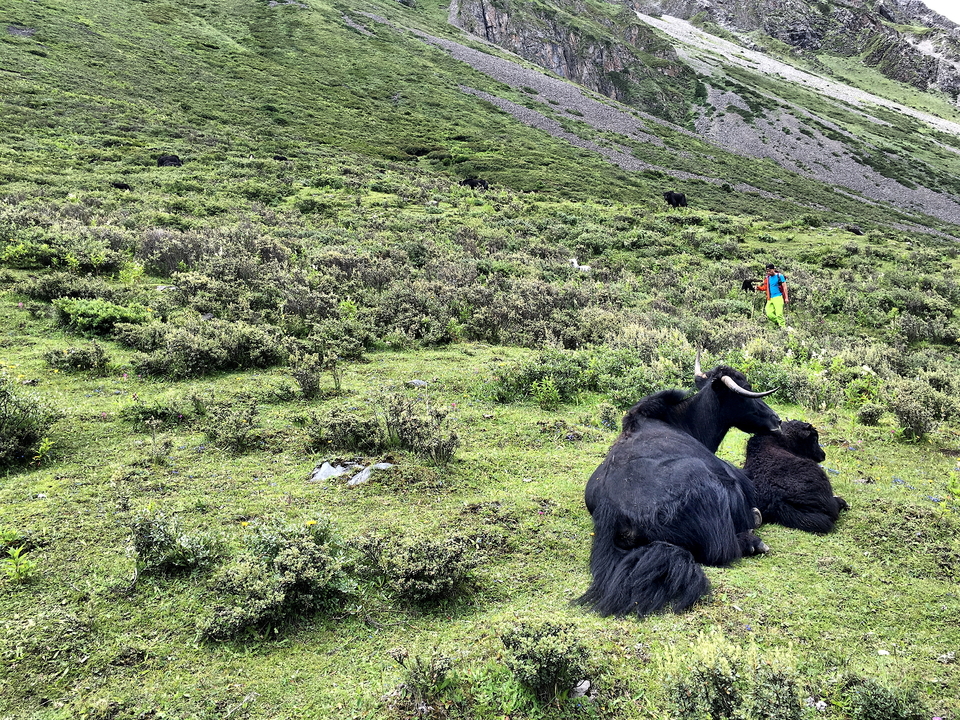 f58da3bff6710bc880ef64c29579c290_org