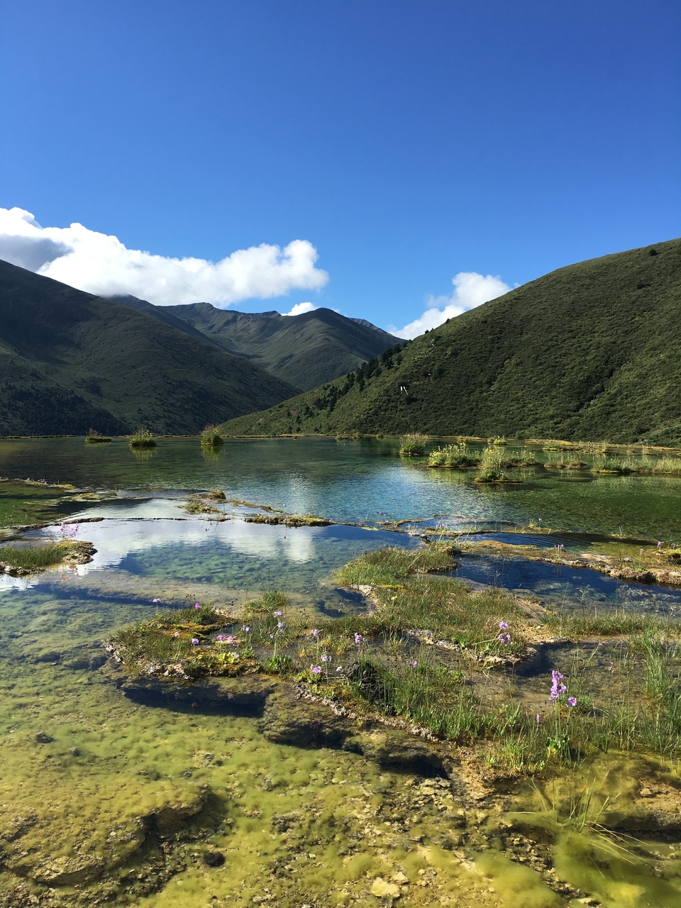 ff420a3822e5c165b0edb306615edd2c_org