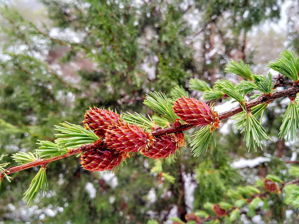 MYXJ_20160515135535_save