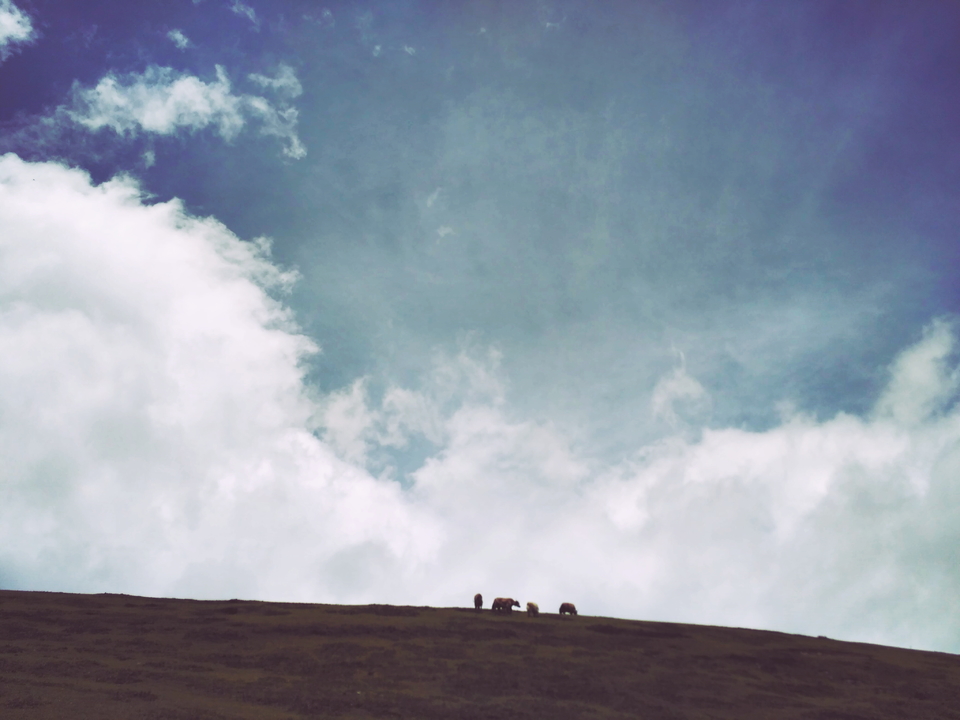 mmexport1463478176000