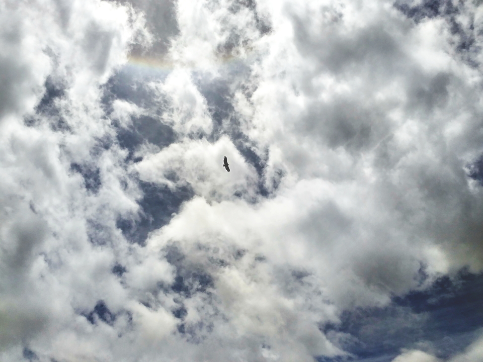 mmexport1463478191373