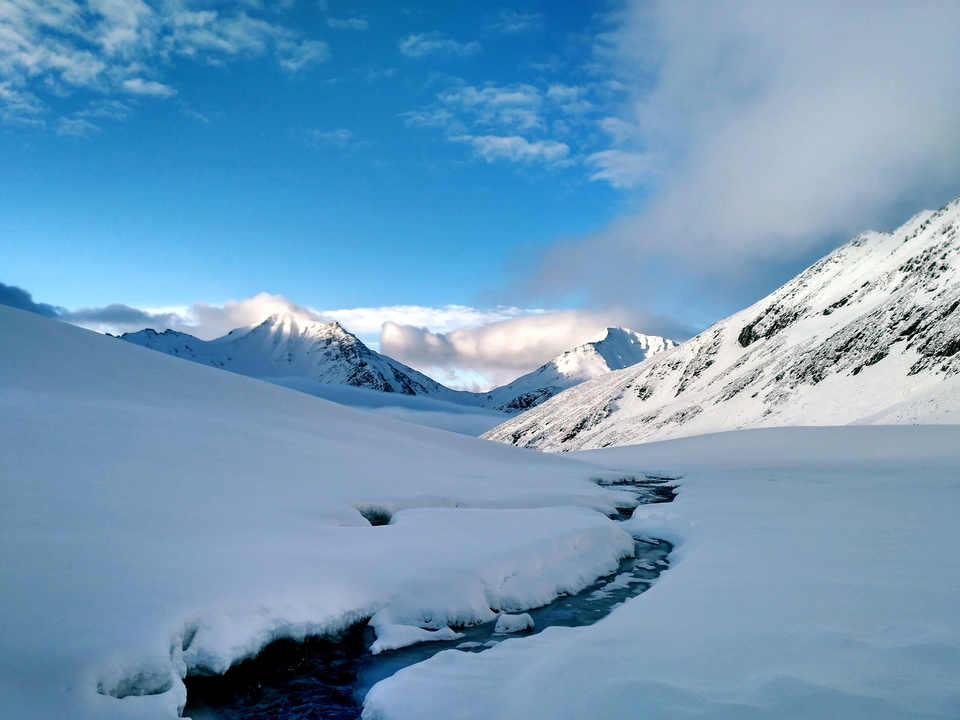 mmexport1463478242623