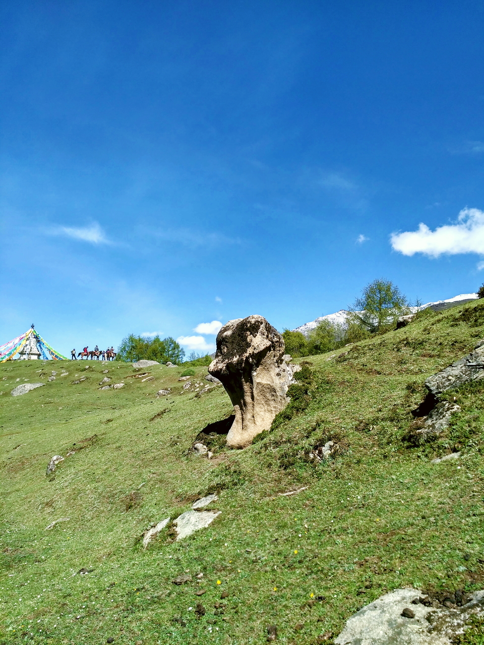 mmexport1463478308433