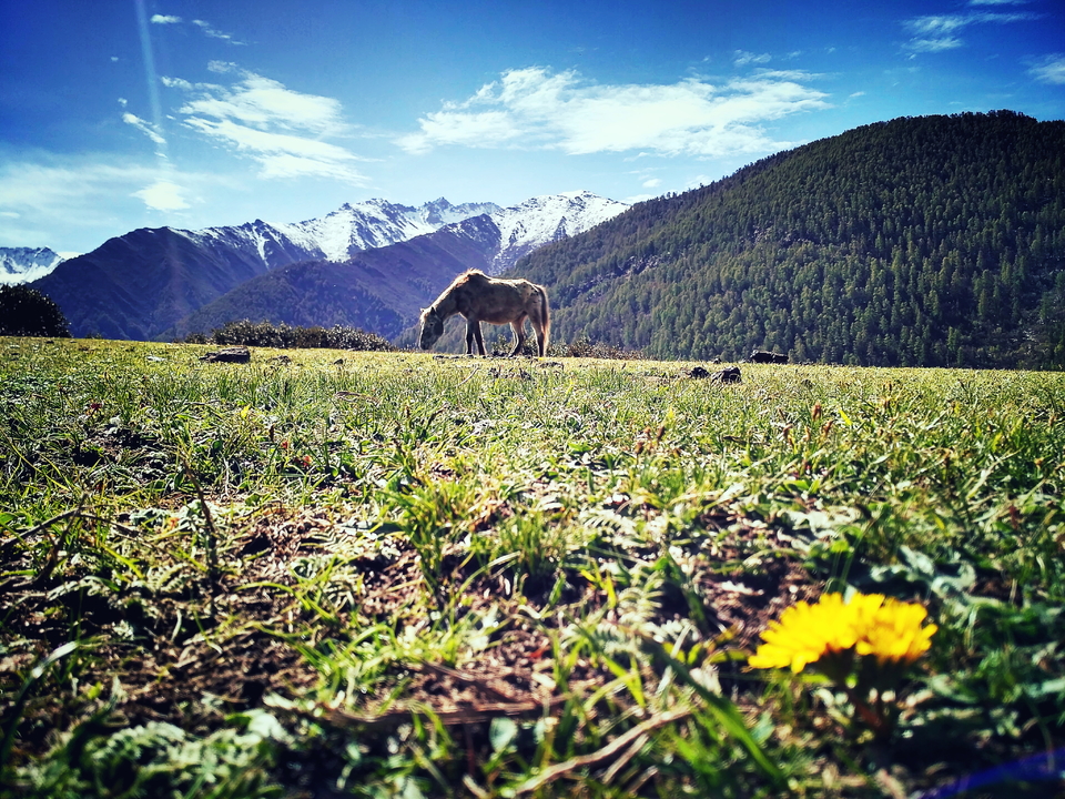 mmexport1463478321546