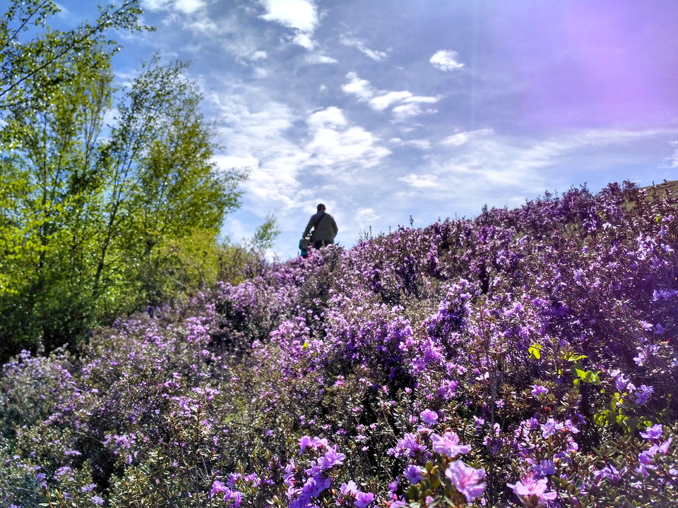 mmexport1463478335700