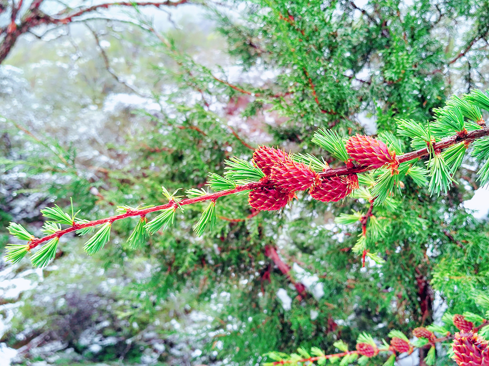 MYXJ_20160515131347_save