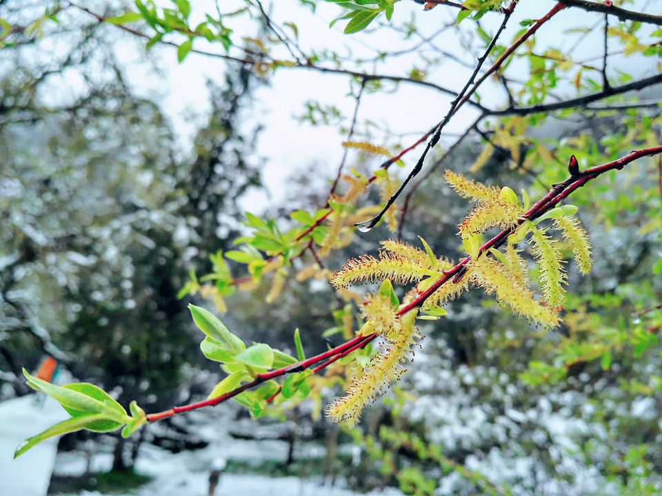 MYXJ_20160515131254_save