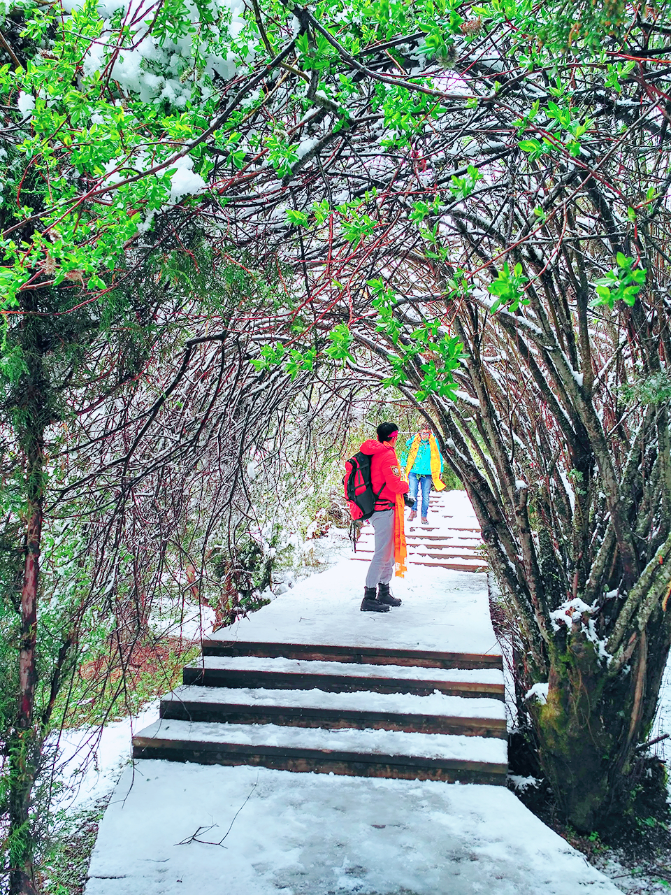 MYXJ_20160515131859_save