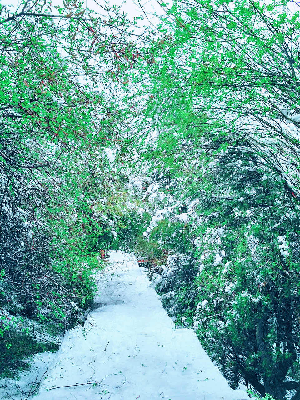 MYXJ_20160515134125_save