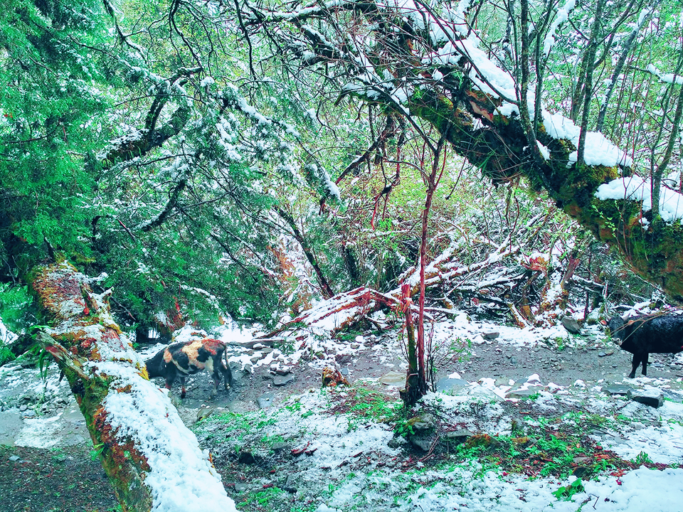 MYXJ_20160515135334_save