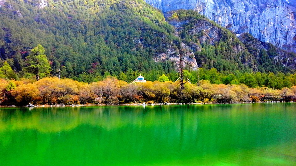 mmexport1476096810623