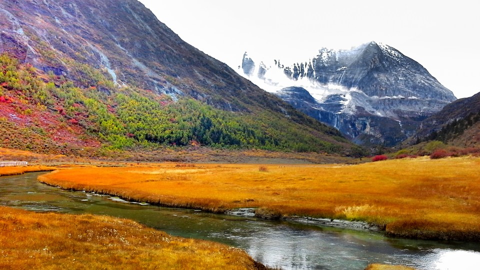 mmexport1476279014438