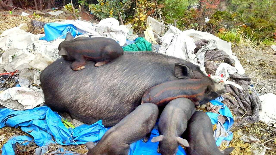 mmexport1476279577589