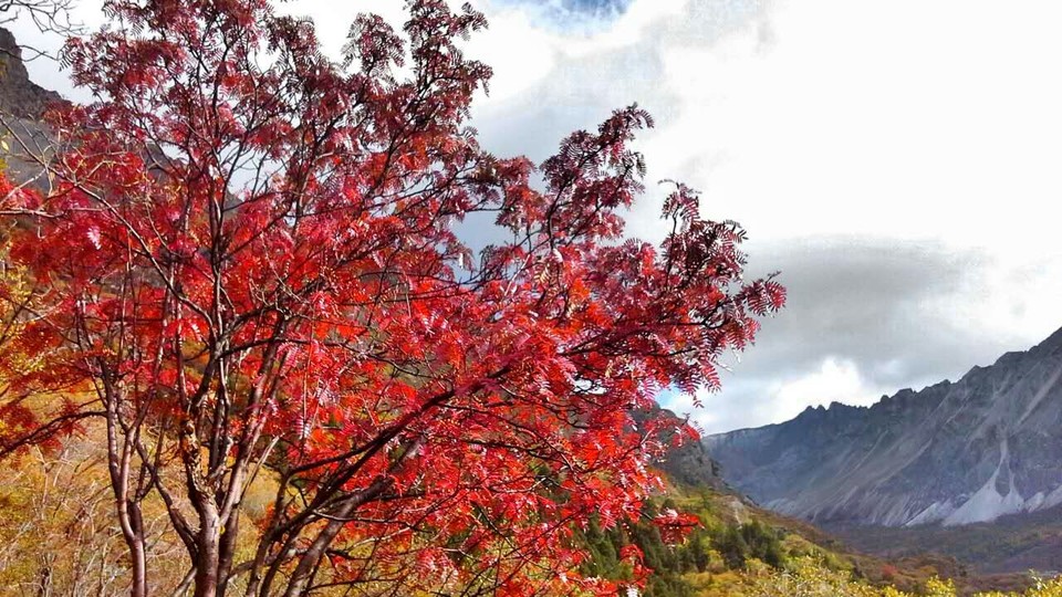 mmexport1476279595655