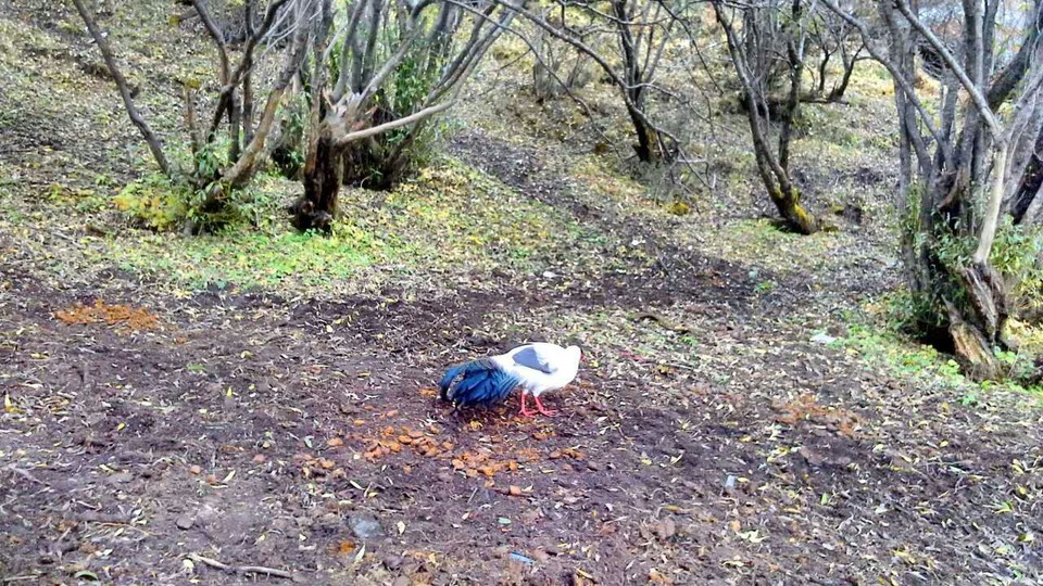 mmexport1476279601518