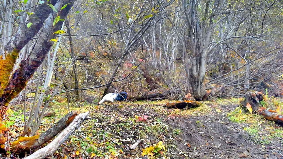 mmexport1476279604785