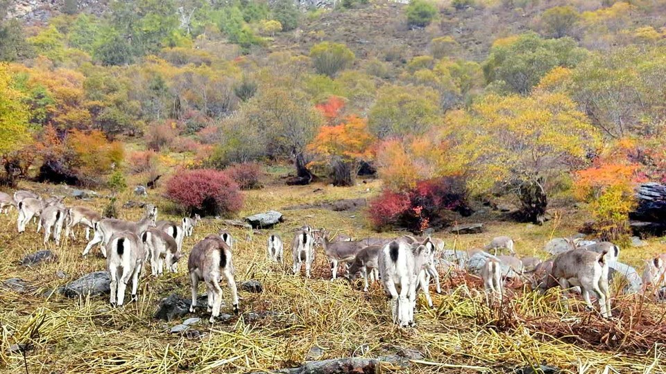 mmexport1476279607770