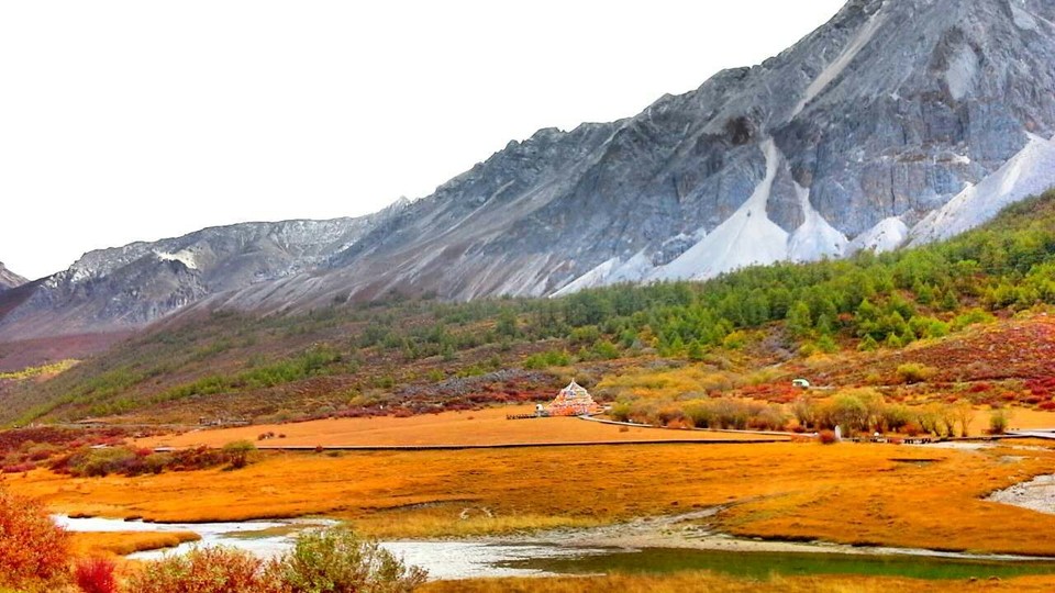 mmexport1476279613753