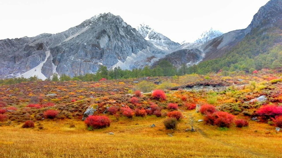 mmexport1476279619669