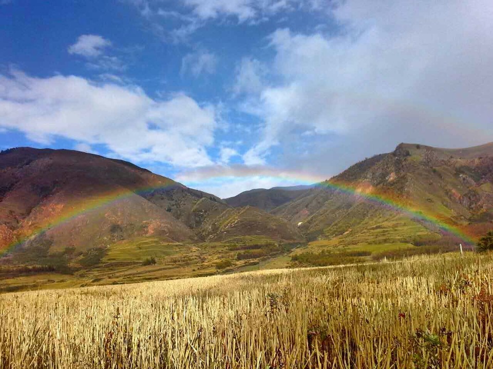 mmexport1476347088158