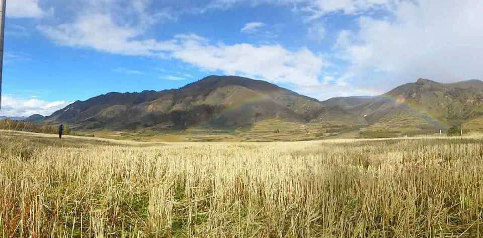 mmexport1476347112692