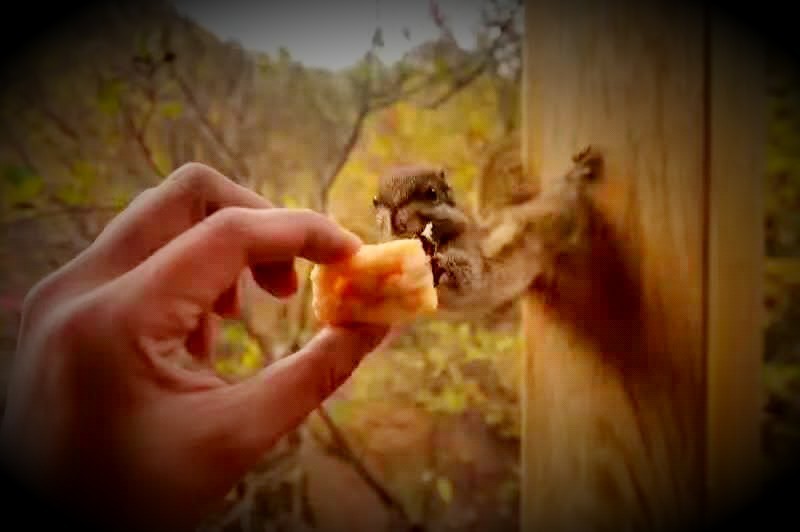 mmexport1476676957293