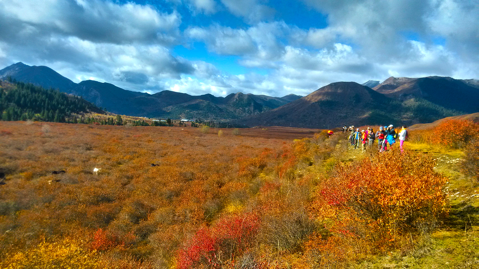 IMG_20161024_095801_HDR