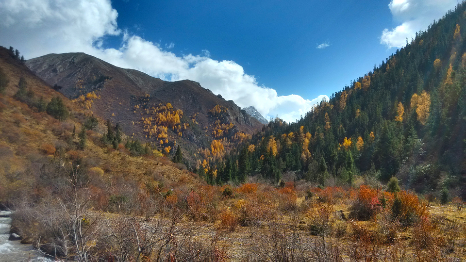 IMG_20161024_121124_HDR