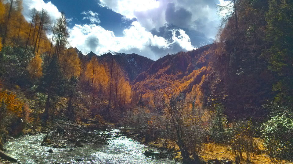 IMG_20161024_122557_HDR