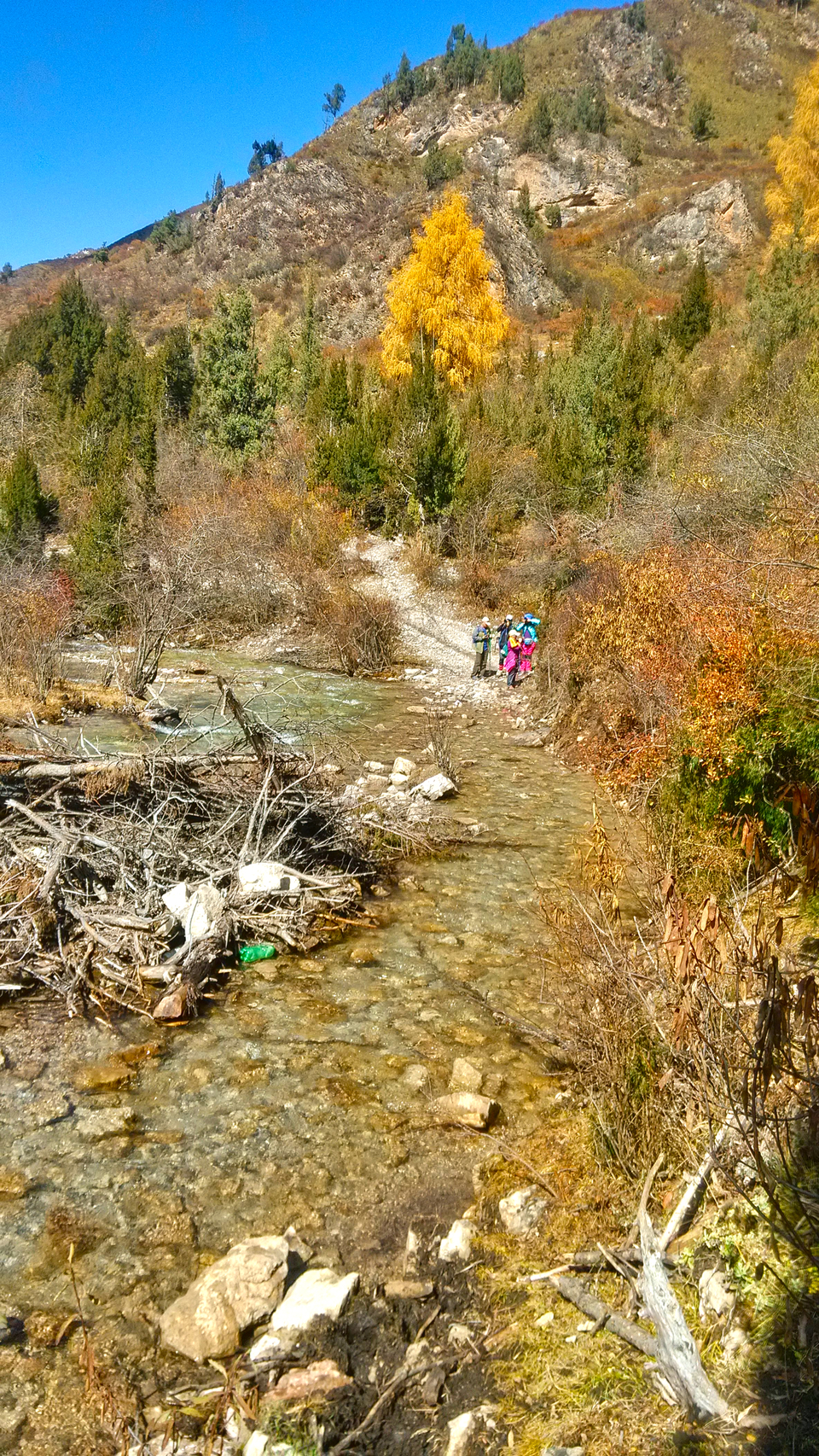 IMG_20161024_122658_HDR