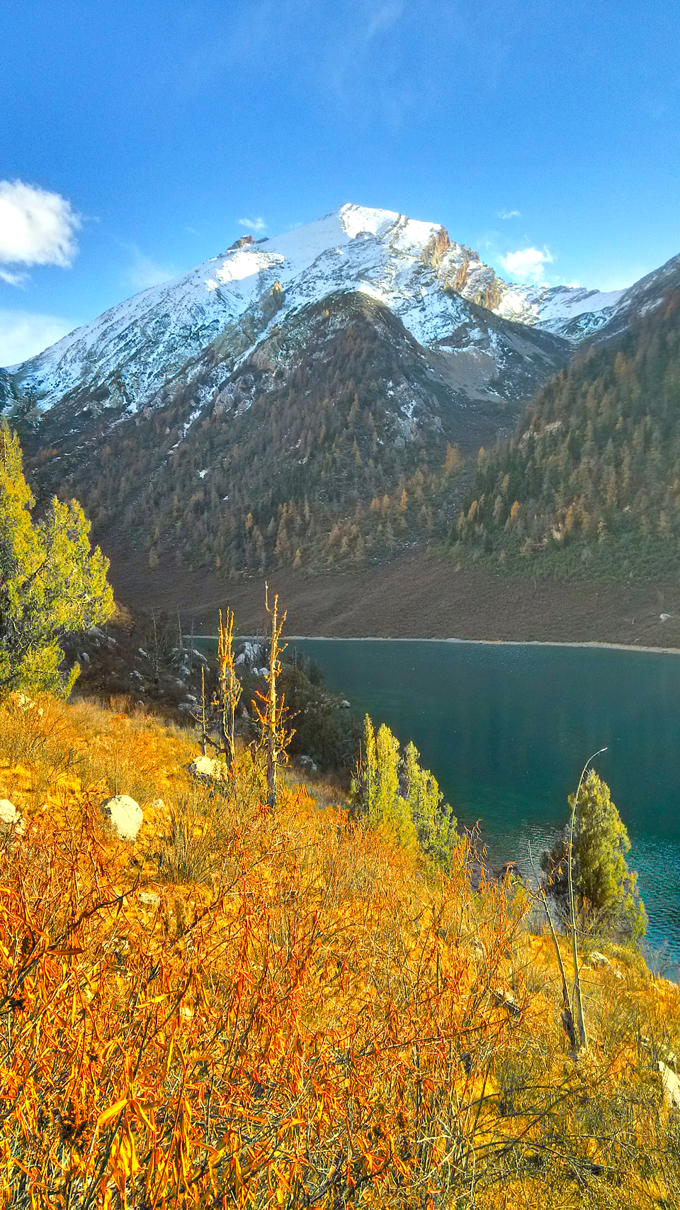 IMG_20161024_162014_HDR