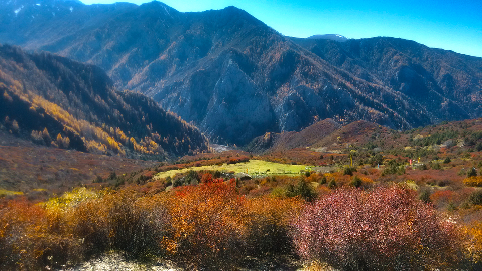 IMG_20161025_131132_HDR