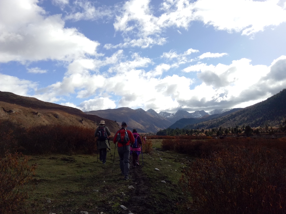 IMG20161024100339 - 副本