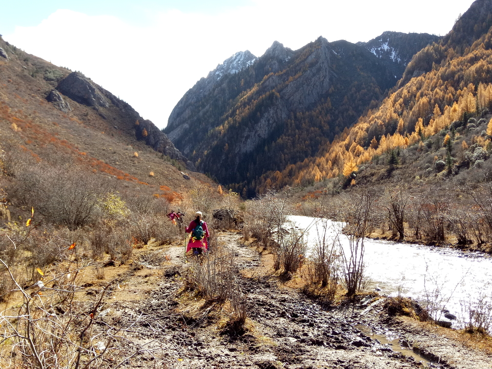 IMG20161024124200 - 副本