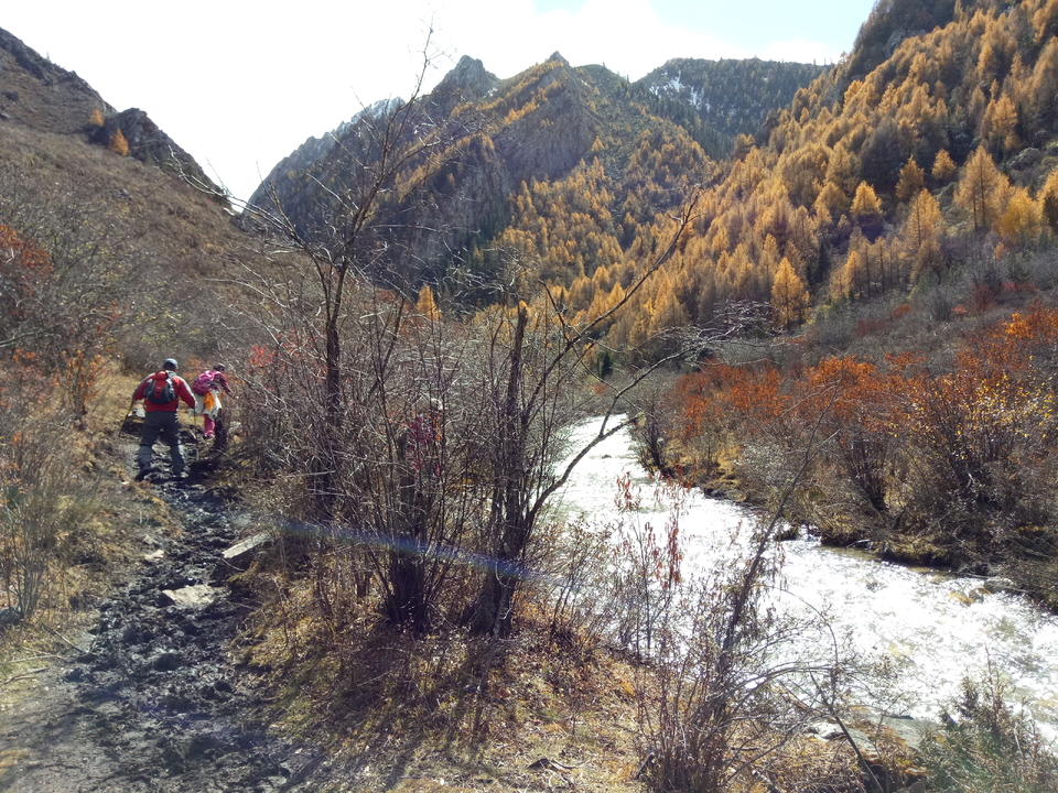 IMG20161024124707 - 副本