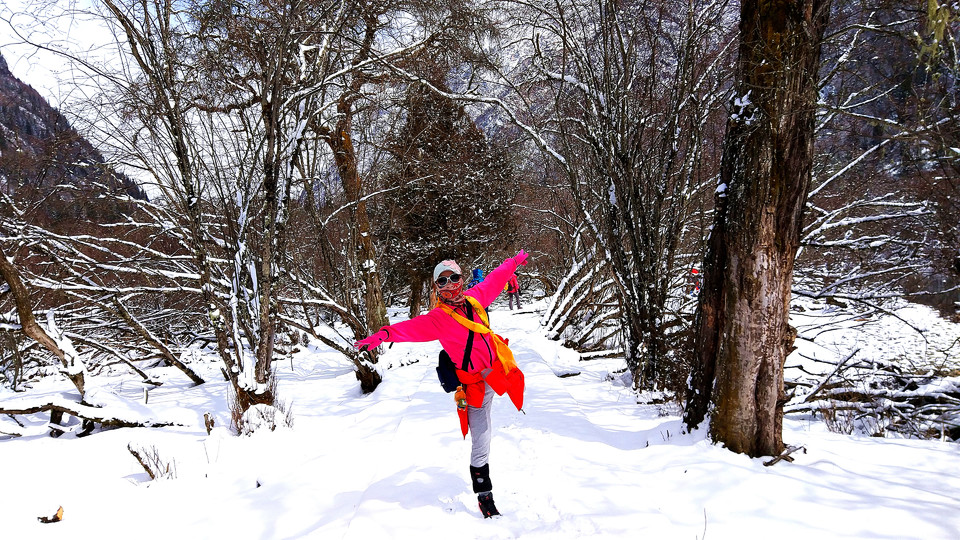 IMG_20170306_115449_2