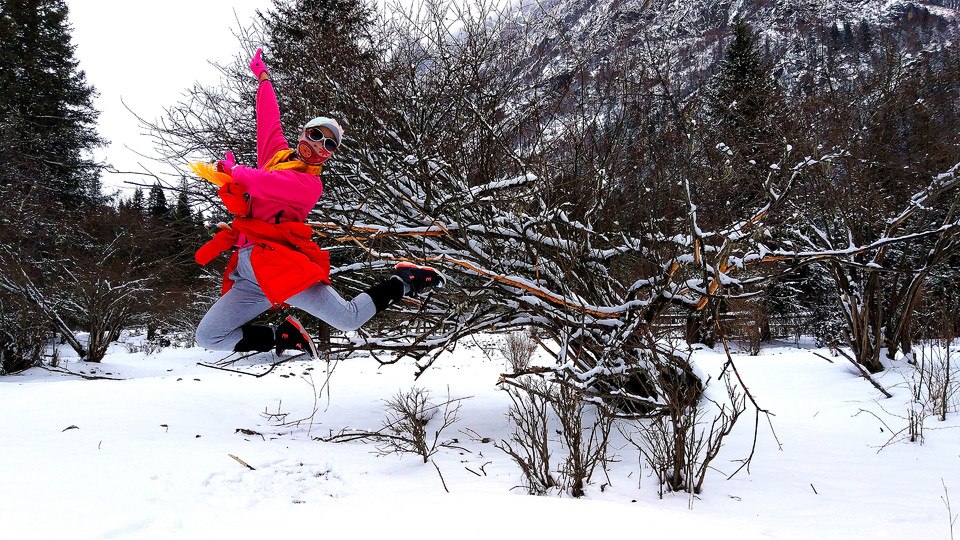 IMG_20170306_123129_BURST13