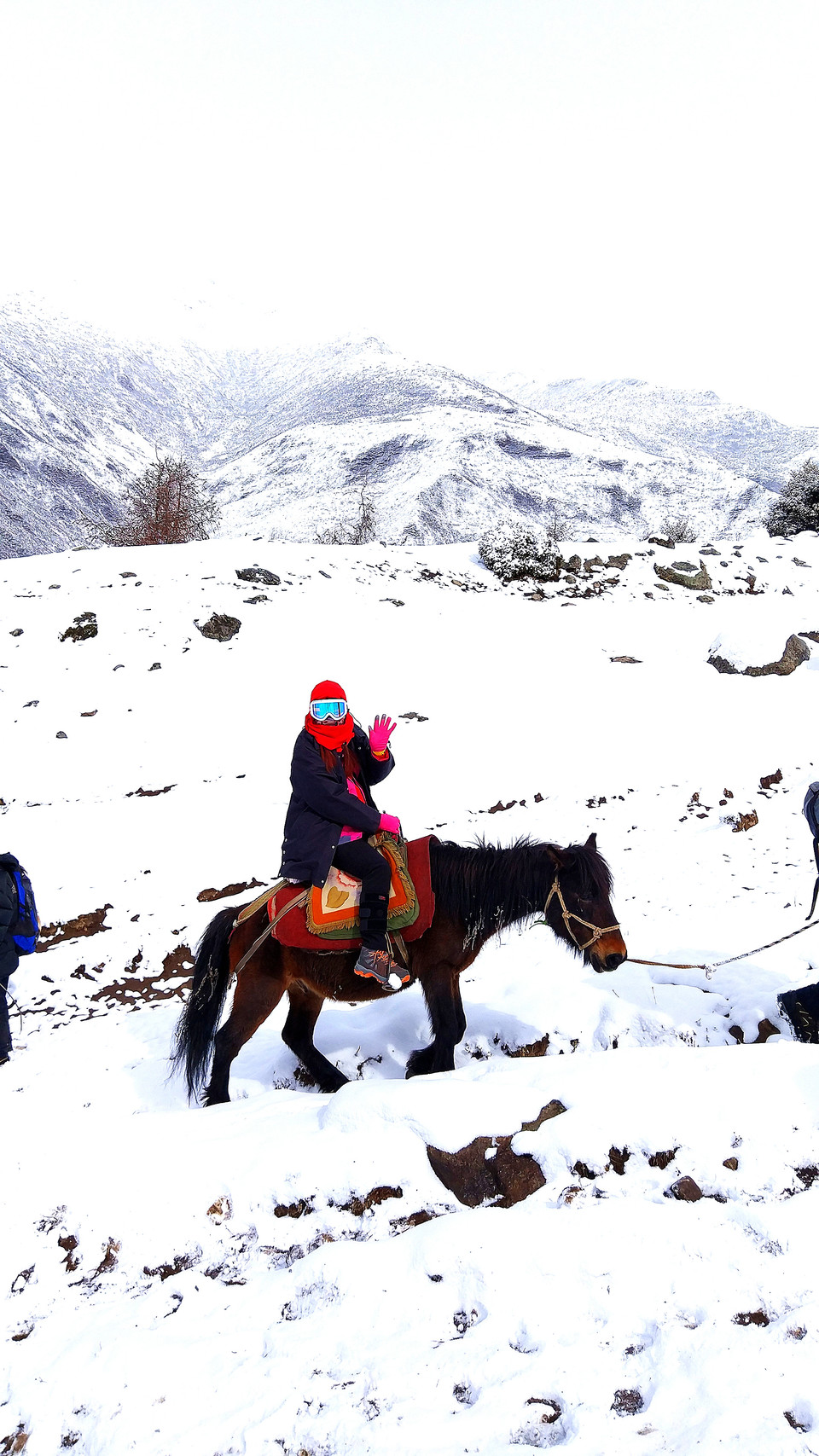 IMG_20170307_110359_1