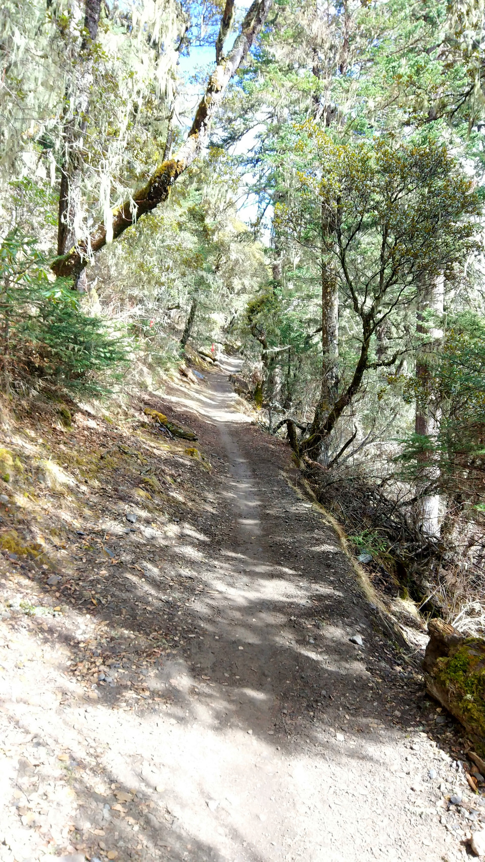 IMG_20170403_100550_HDR