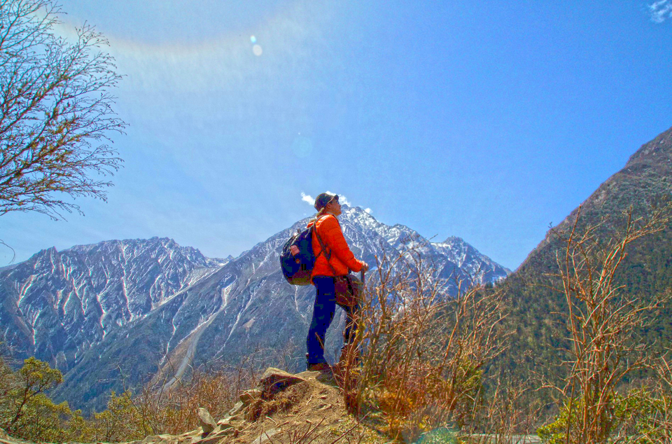 微信图片_20170407102627