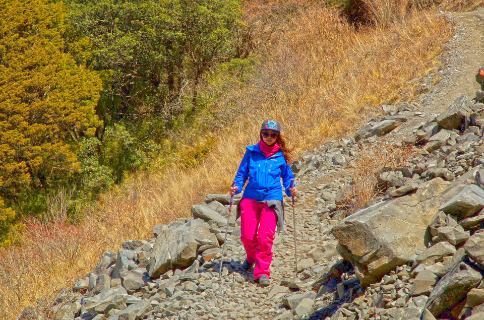 微信图片_20170407102635