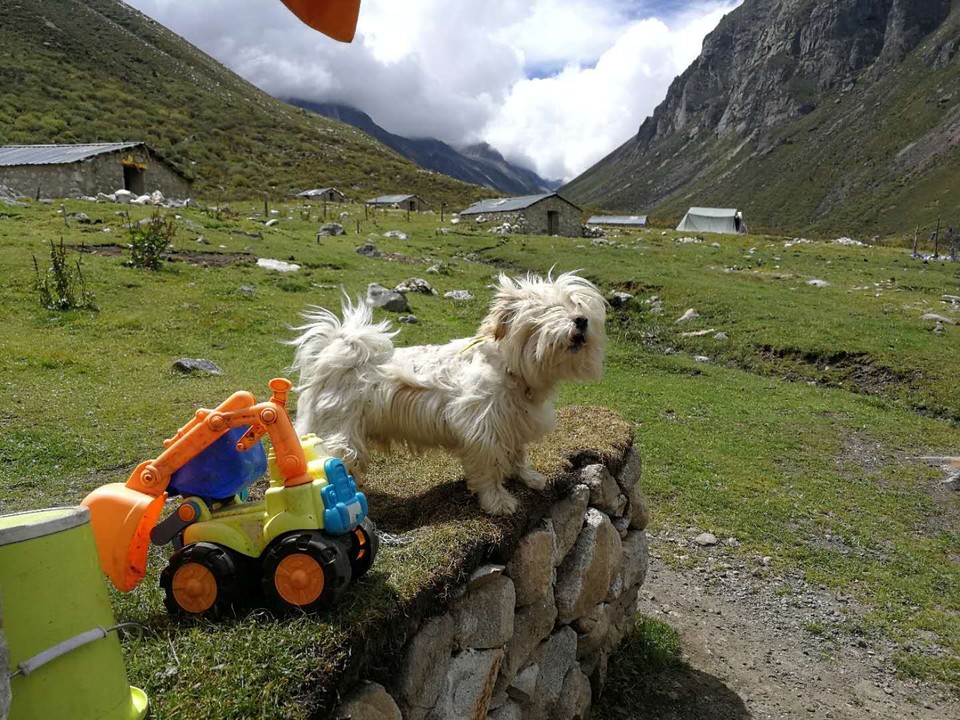 微信图片_20180912090455