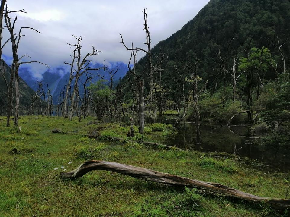 微信图片_20180912090544